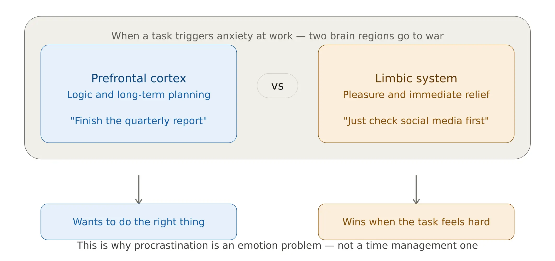 Limbic system vs prefrontal cortex